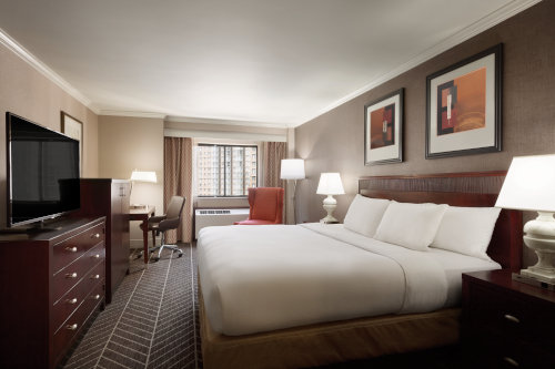Hilton Arlington Virginia: 1 King Bed Deluxe